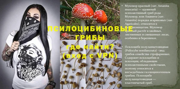 наркотики Гусев