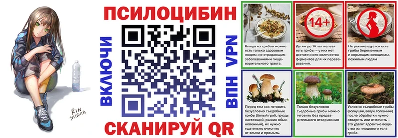 Псилоцибиновые грибы Magic Shrooms  наркота  hydra зеркало  Давлеканово 